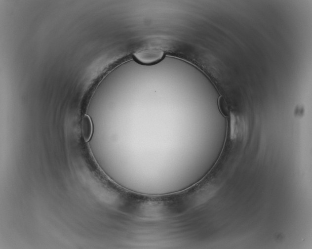 X0000112850252200909041536