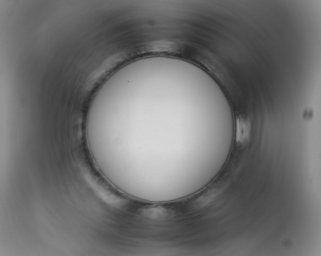 X0000112850253200909041536