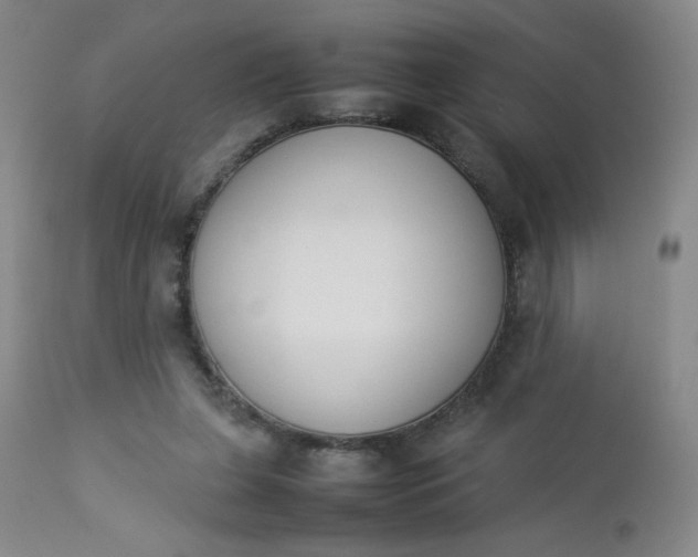 X0000112850255200909041536