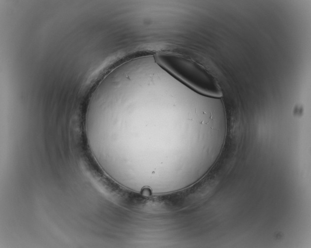 X0000112850256200909041536