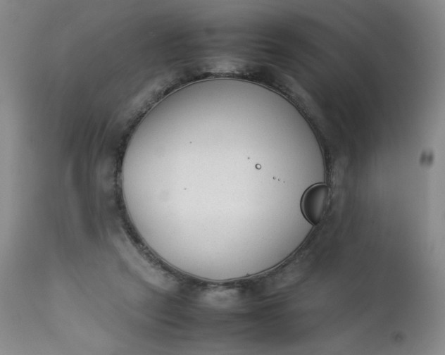 X0000112850257200909041536