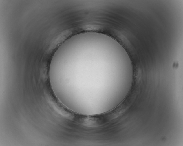 X0000112850261200909041536