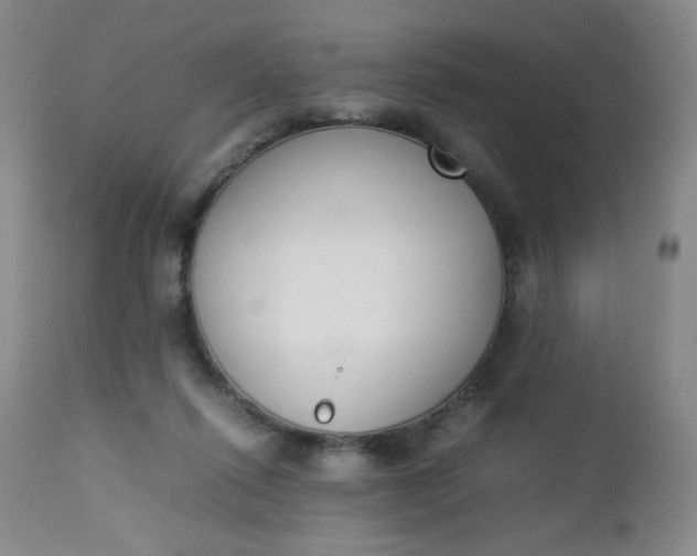 X0000112850262200909041536