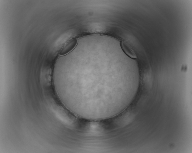 X0000112850264200909041536