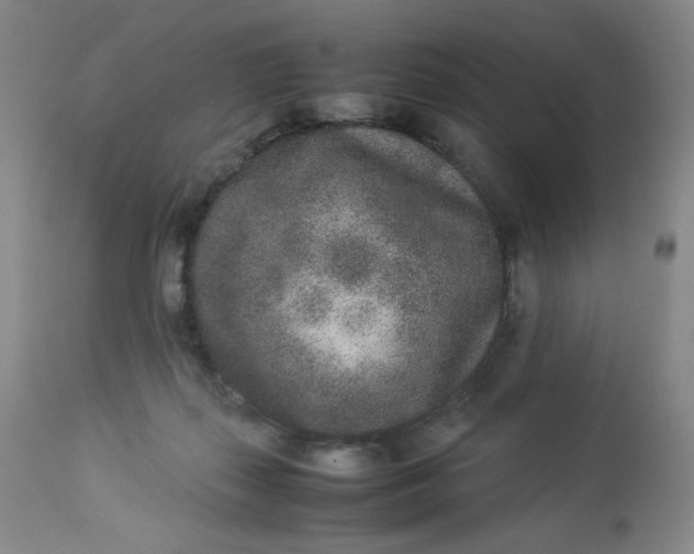 X0000112850267200909041536