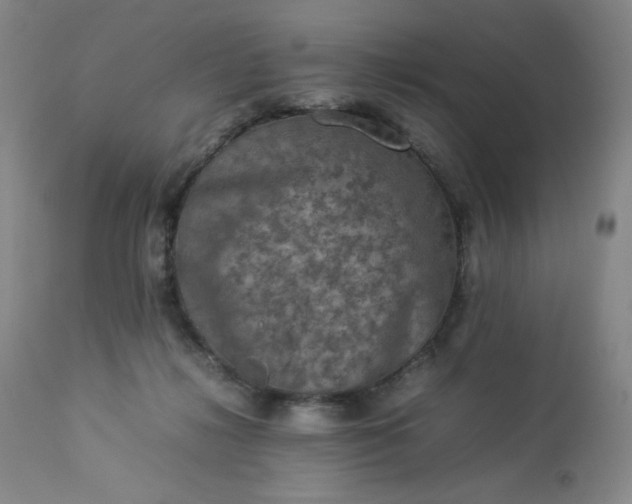 X0000112850268200909041536