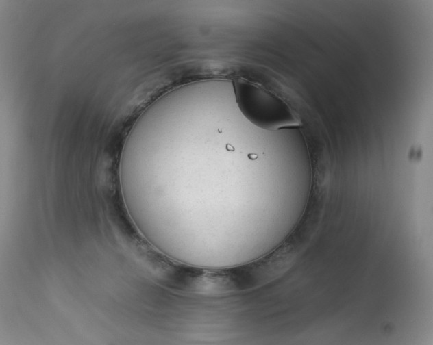 X0000112850270200909041536