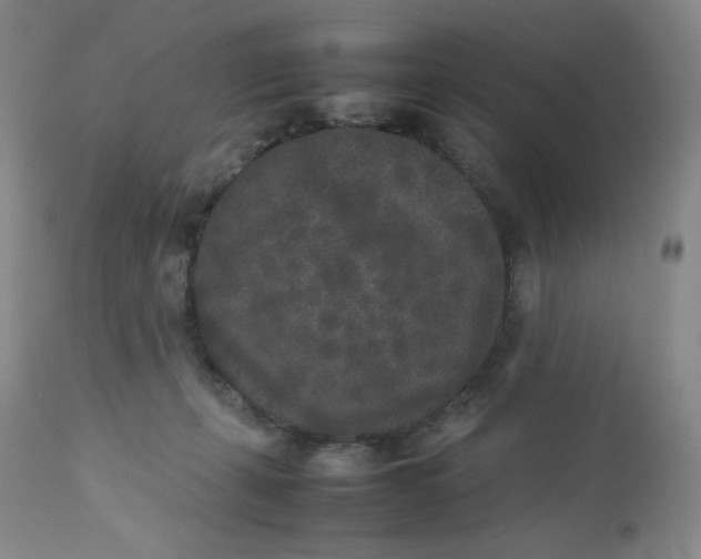 X0000112850271200909041536