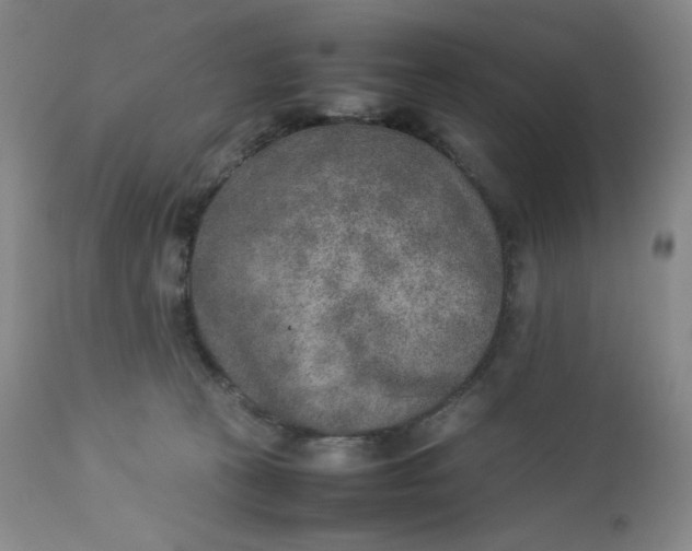 X0000112850273200909041536