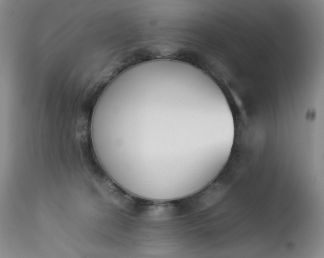 X0000112850274200909041536