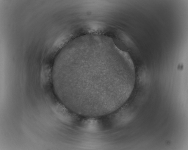 X0000112850276200909041536