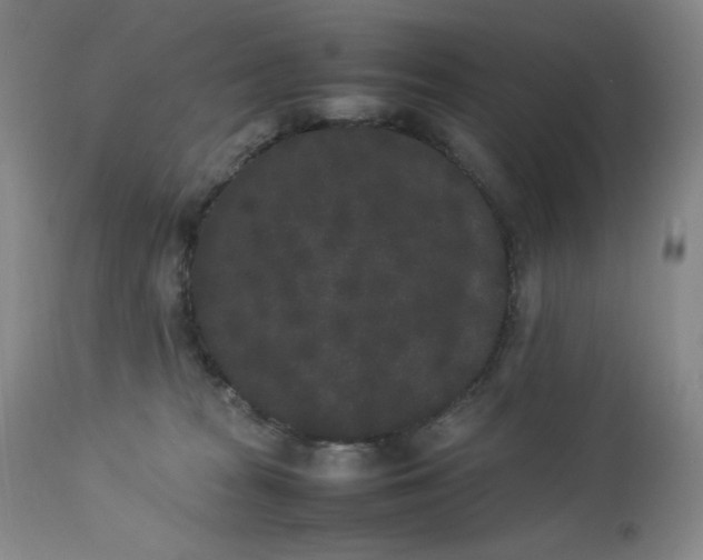 X0000112850277200909041536