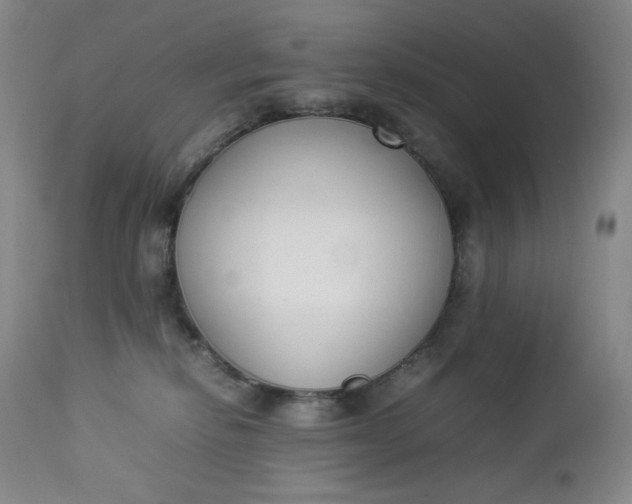 X0000112850278200909041536