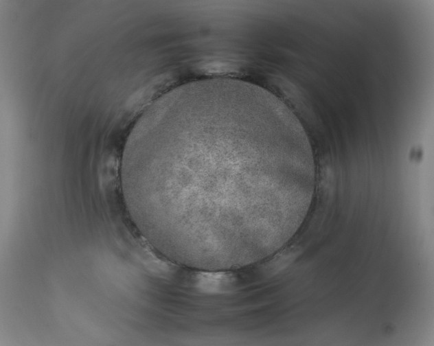 X0000112850281200909041536