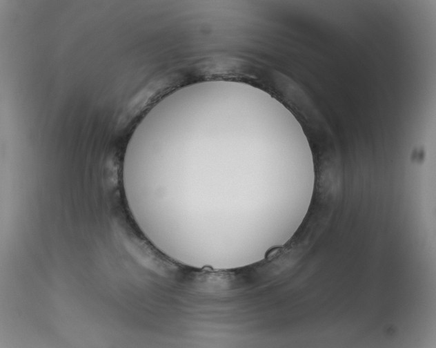 X0000112850282200909041536