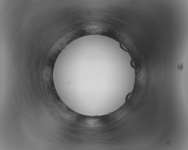 X0000112850283200909041536