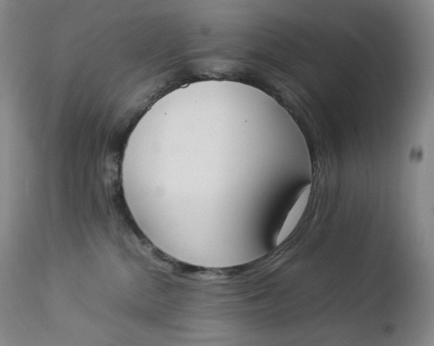 X0000112850284200909041536