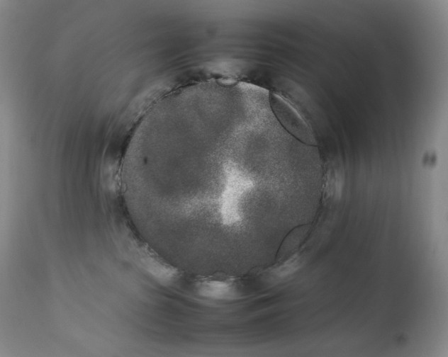 X0000112850285200909041537