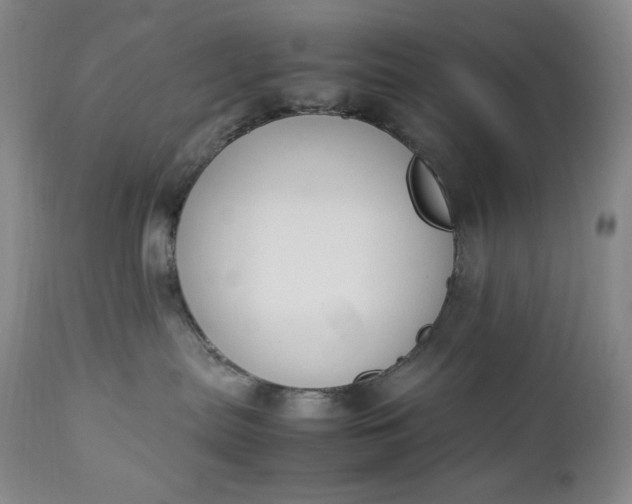 X0000112850287200909041537