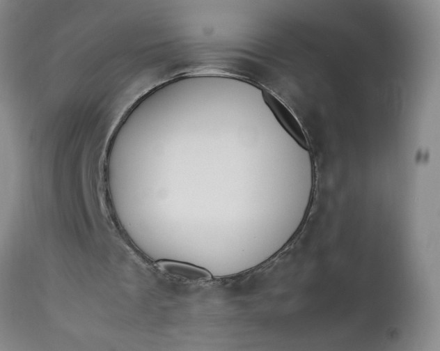 X0000112850289200909041536