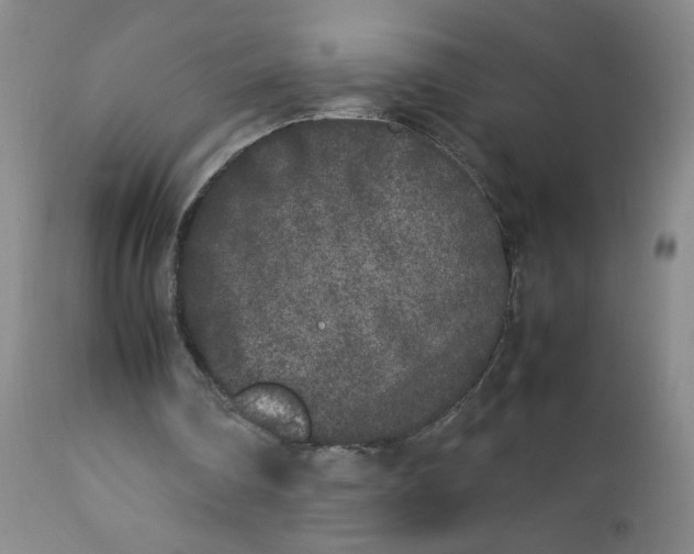 X0000112850290200909041536