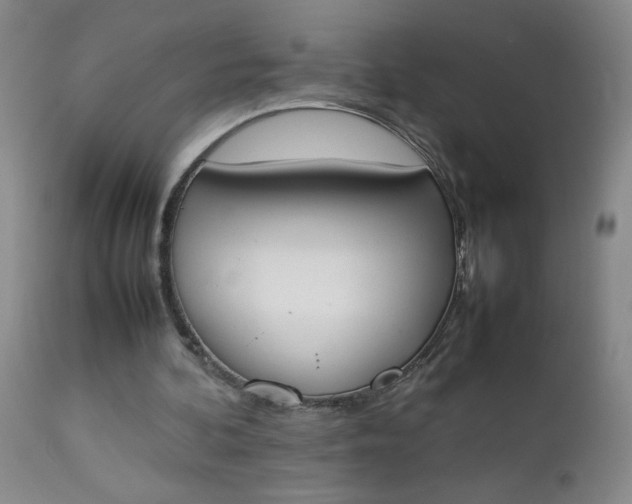 X0000112850292200909041536