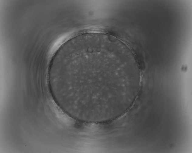 X0000112850293200909041536