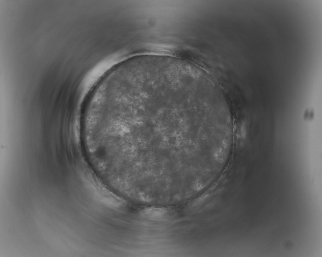 X0000112850294200909041536