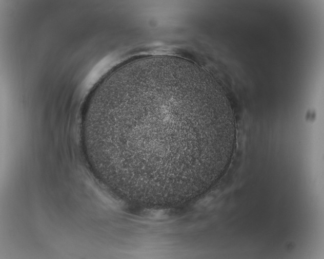 X0000112850295200909041536