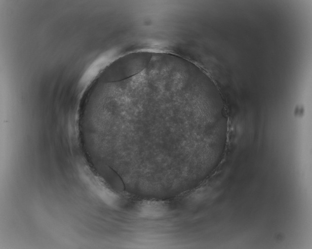 X0000112850296200909041536