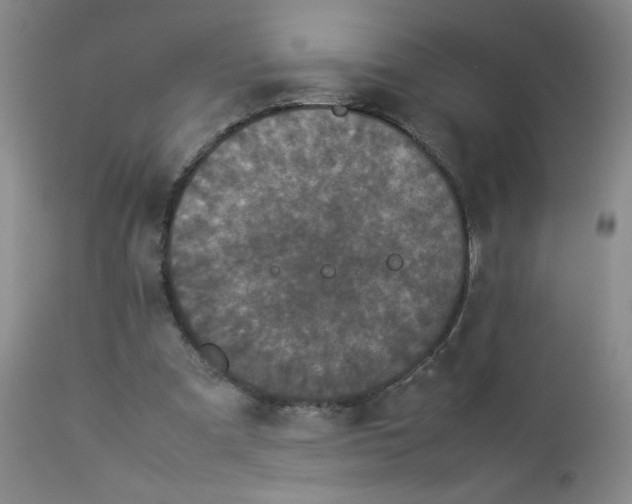 X0000112850297200909041536