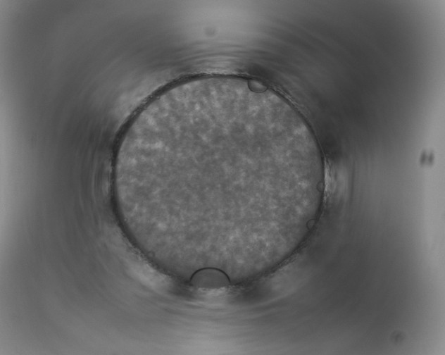 X0000112850301200909041536