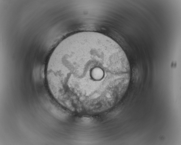 X0000112850302200909041536