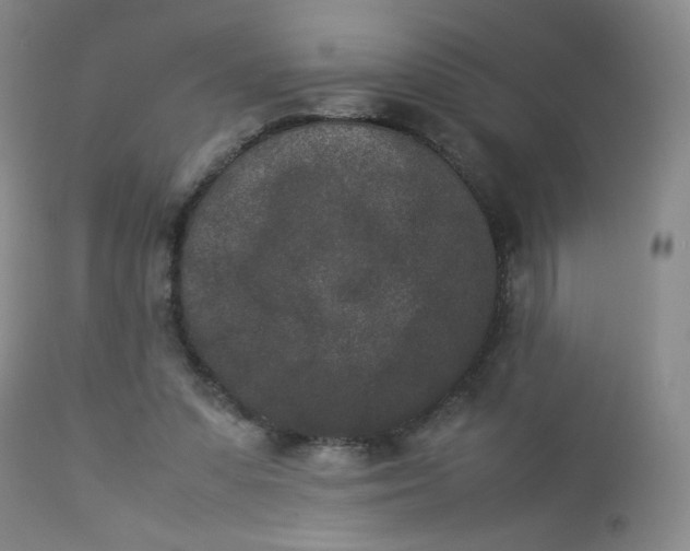 X0000112850303200909041536