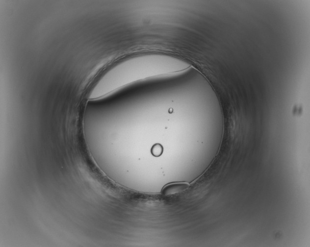 X0000112850304200909041536