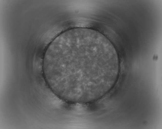 X0000112850305200909041536