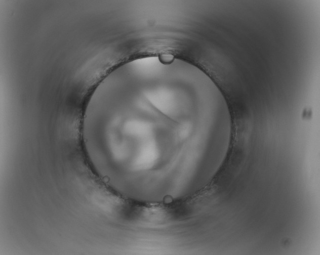 X0000112850309200909041536