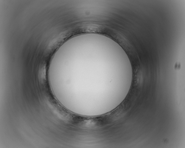 X0000112850310200909041536