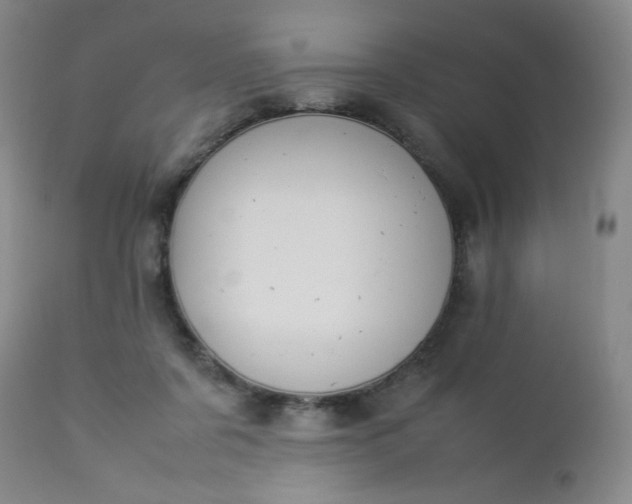 X0000112850311200909041536