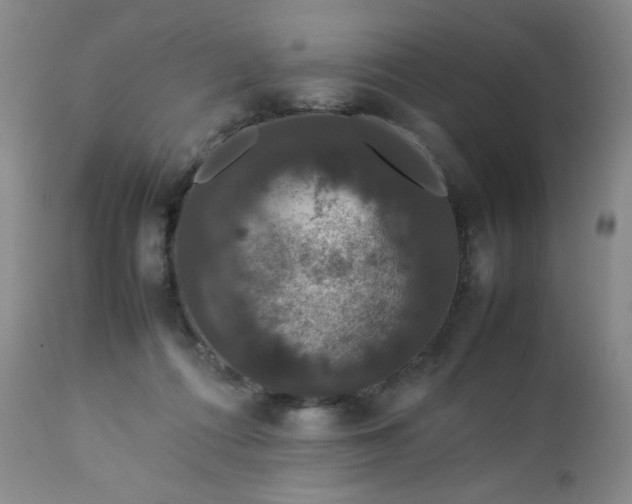 X0000112850312200909041536