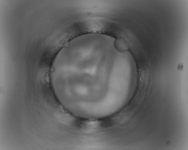 X0000112850313200909041536