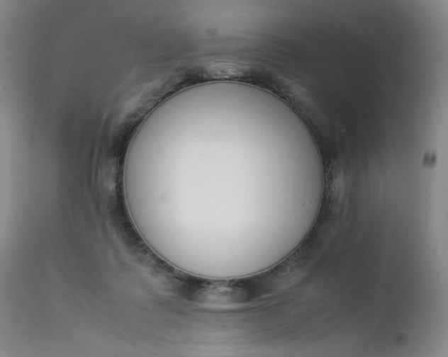 X0000112850315200909041536