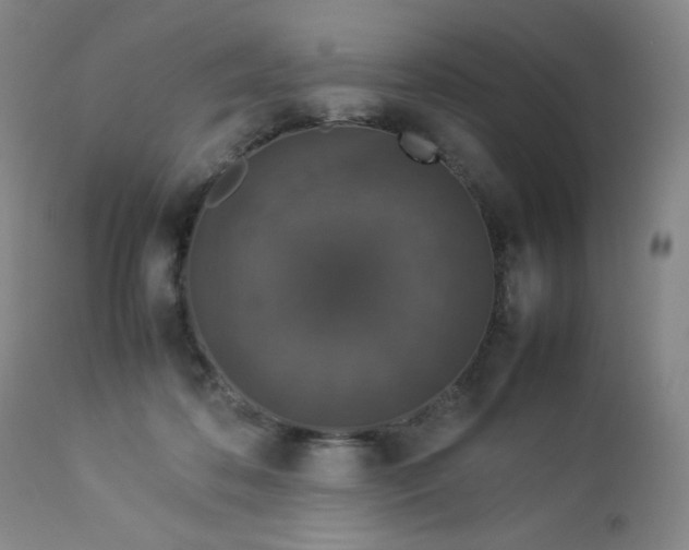 X0000112850316200909041536