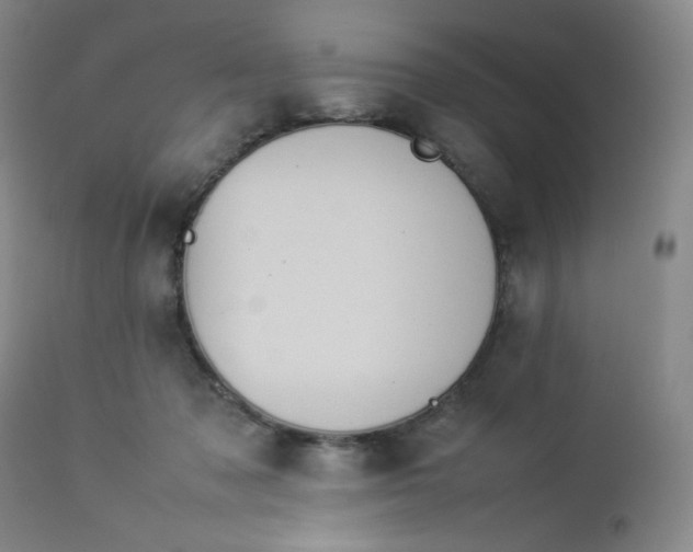 X0000112850317200909041536