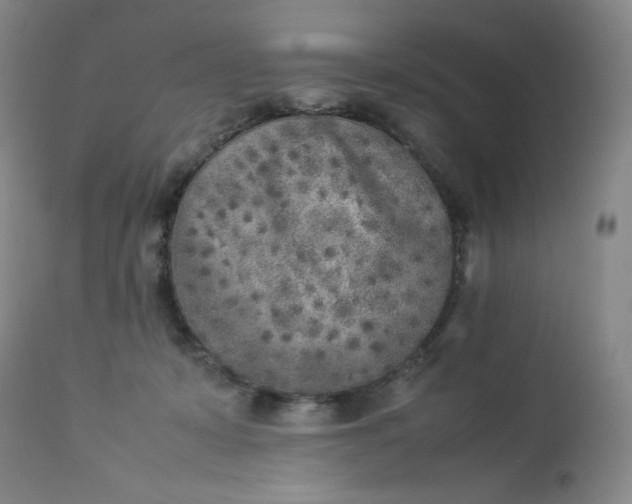 X0000112850319200909041535