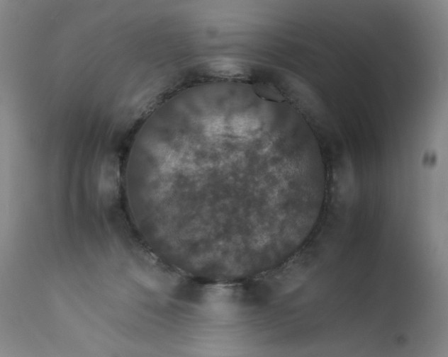 X0000112850320200909041535