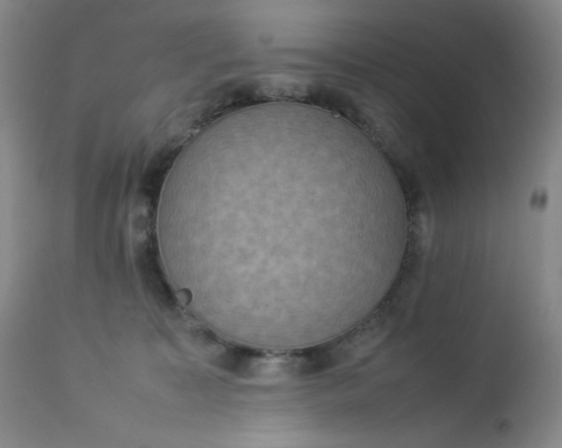 X0000112850323200909041535