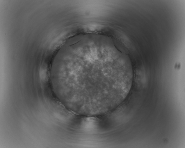 X0000112850324200909041535