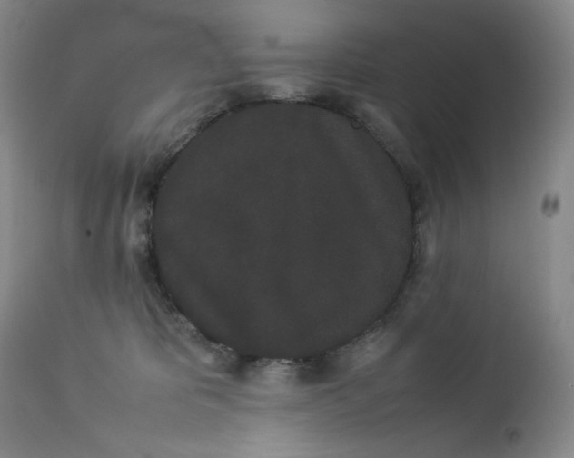 X0000112850325200909041535