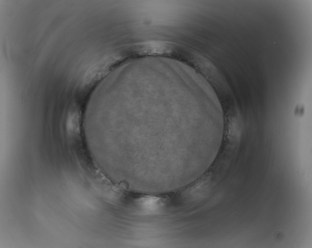 X0000112850326200909041535